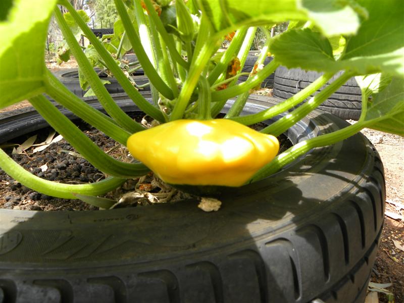 19.12.10 002 (Medium).jpg