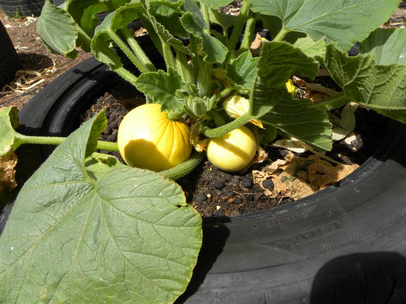 19.12.10 001 (Medium).jpg