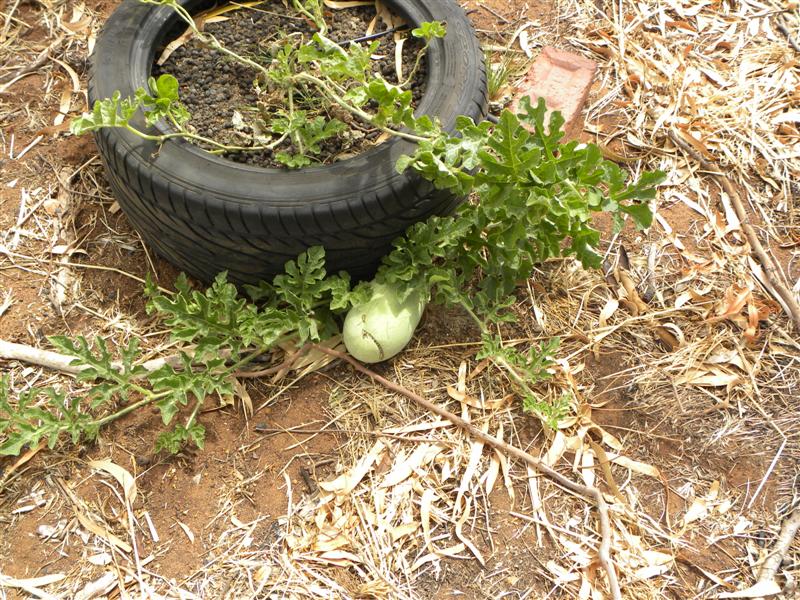 19.12.10 007 (Medium).jpg