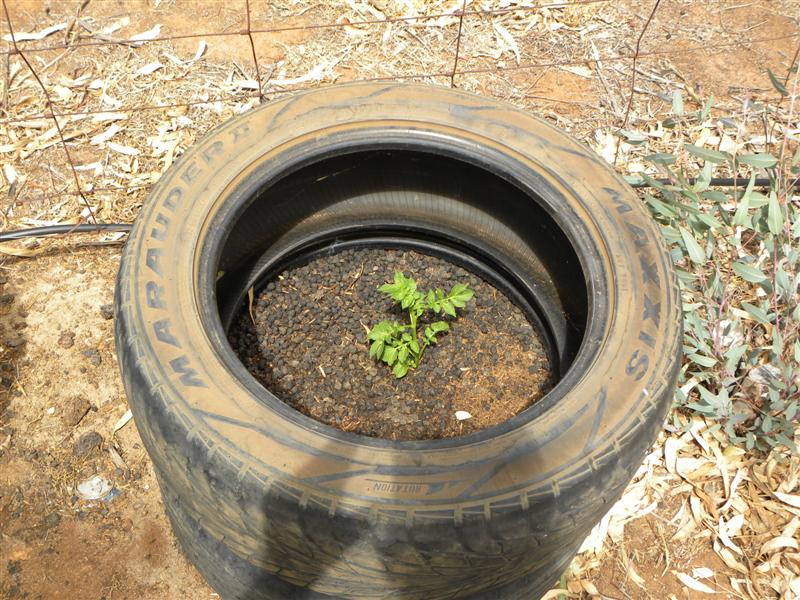 19.12.10 009 (Medium).jpg