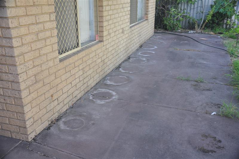 DSC_0517 (Medium).jpg