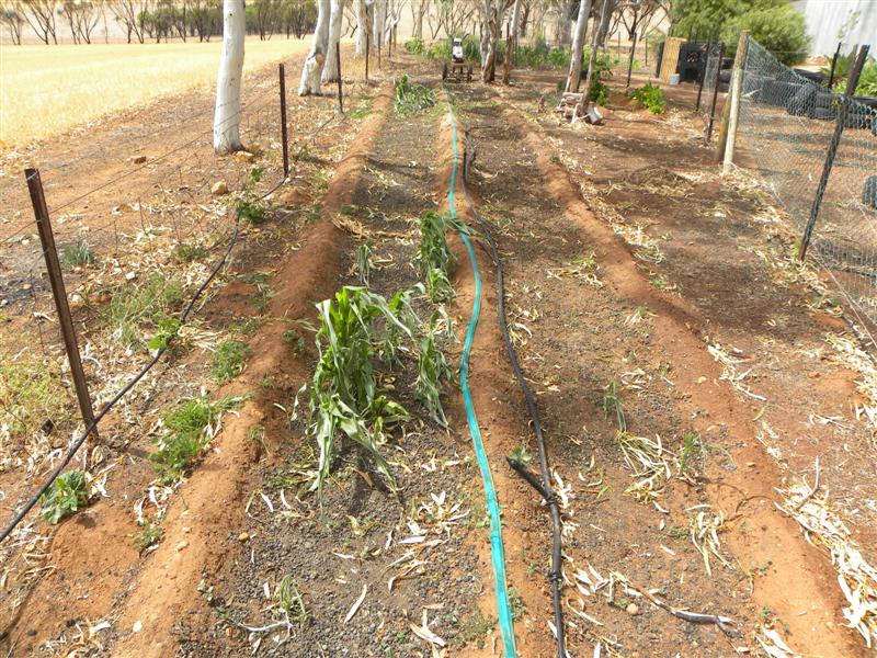 19.12.10 003 (Medium).jpg