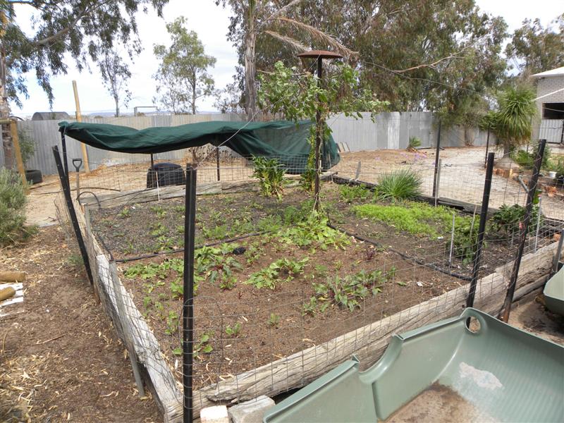 19.12.10 011 (Medium).jpg