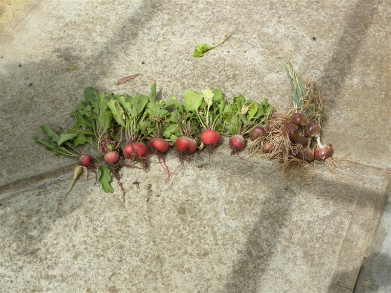 19.12.10 014 (Medium).jpg