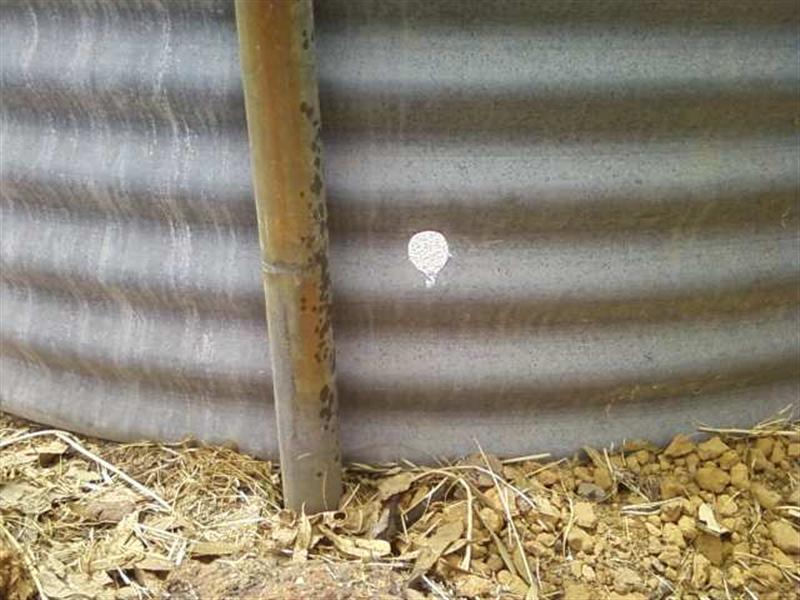 Photo0118 (Medium).jpg