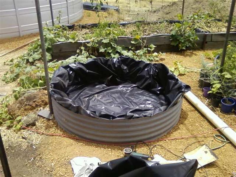 Photo0119 (Medium).jpg