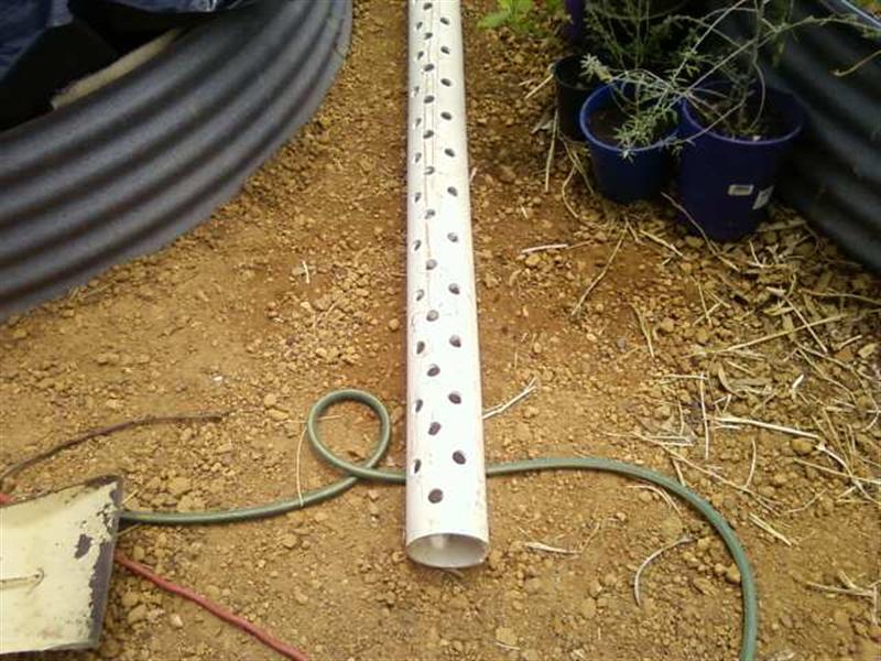 Photo0121 (Medium).jpg