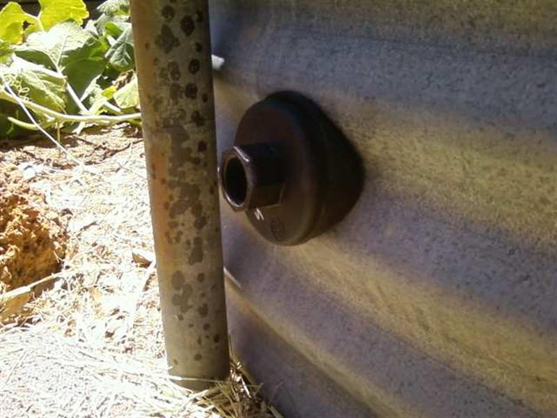 Photo0126 (Medium).jpg