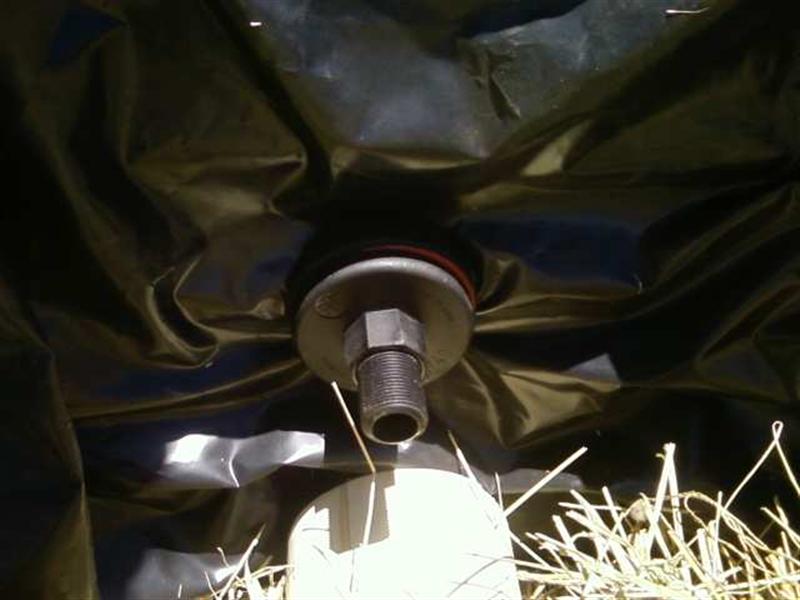 Photo0130 (Medium).jpg