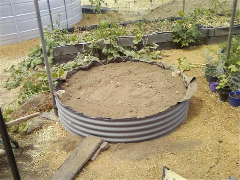 Photo0136 (Medium).jpg