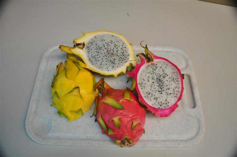 DSC_0491 (Medium).jpg