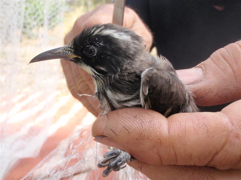 PC140120 (Medium).JPG