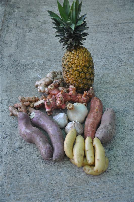 DSC_0481 (Medium).jpg