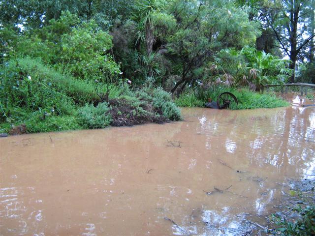 A wet January 2011 090 (Small).jpg