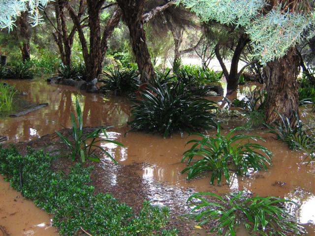 A wet January 2011 102 (Small).jpg