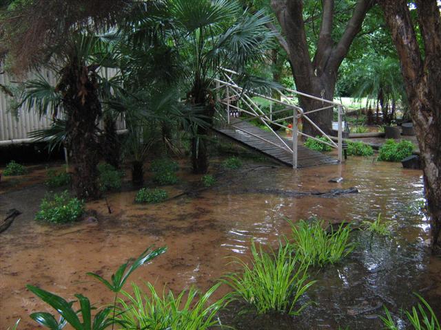 A wet January 2011 105 (Small).jpg