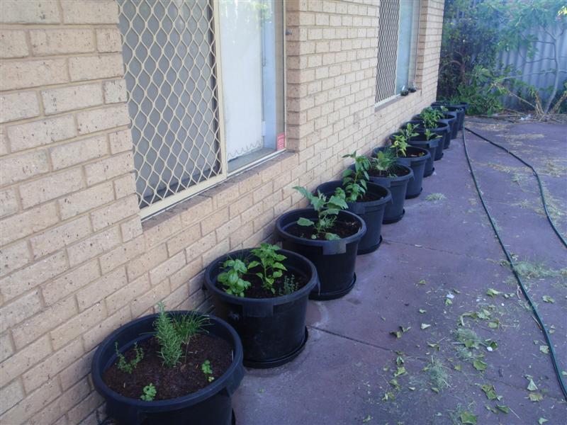 P1240633 (Medium).JPG