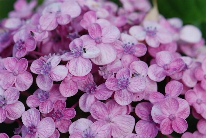 DSC_0058 (Medium).JPG