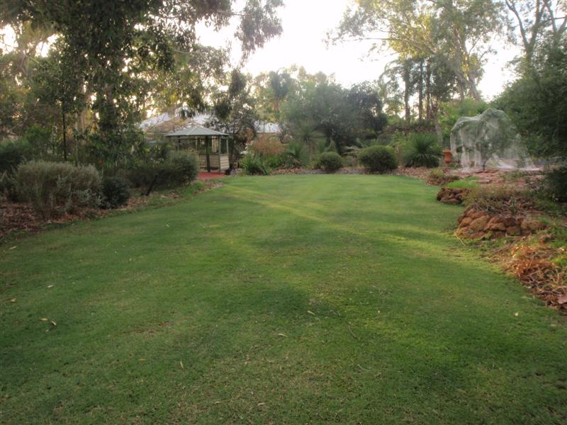 P1030448 (Medium).JPG