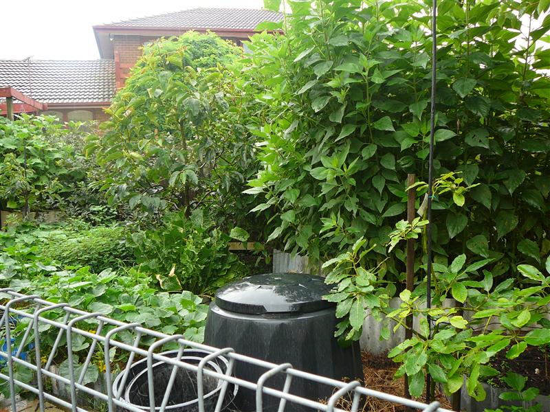 P1040615 (Custom).JPG