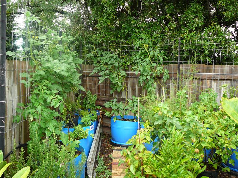 P1040614 (Custom).JPG