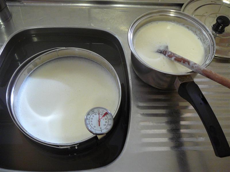 P1040694 (Custom).JPG