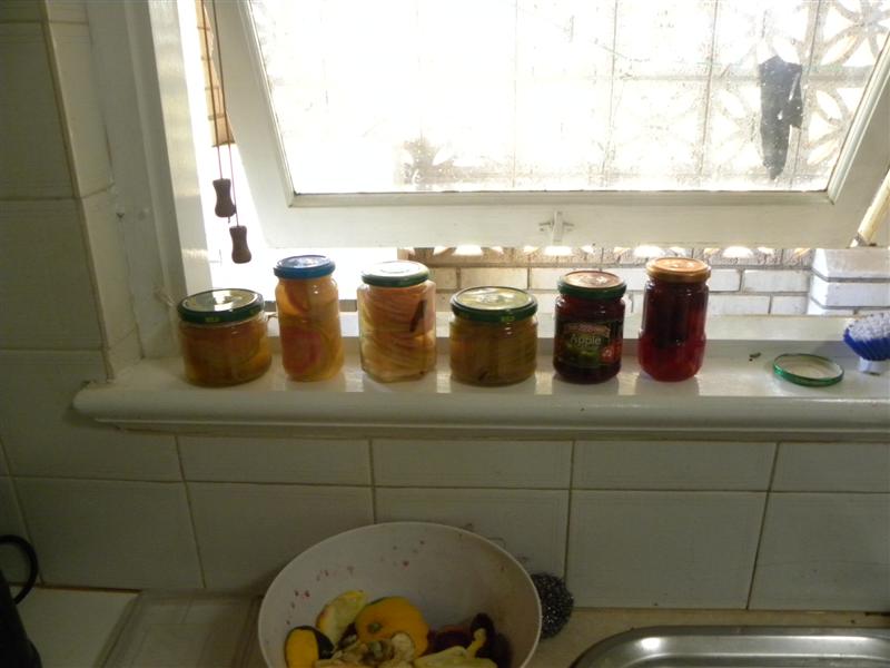 260111 005 (Medium).jpg