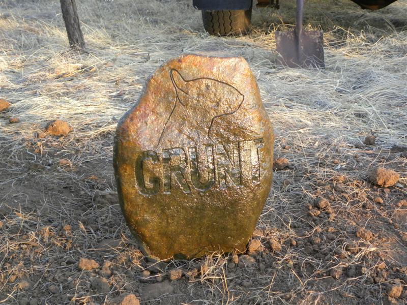 260111 009 (Medium).jpg