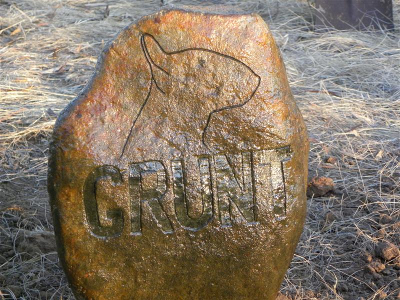 260111 008 (Medium).jpg