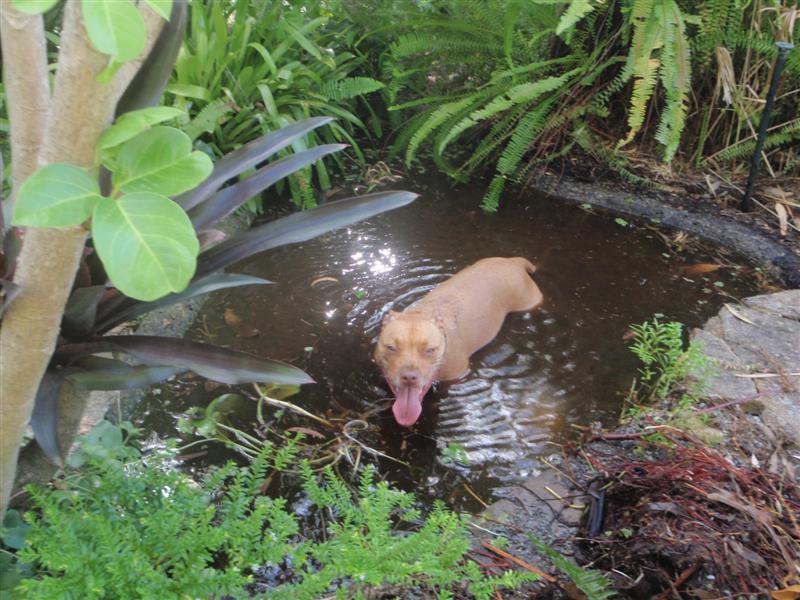 P1300867 (Medium).JPG